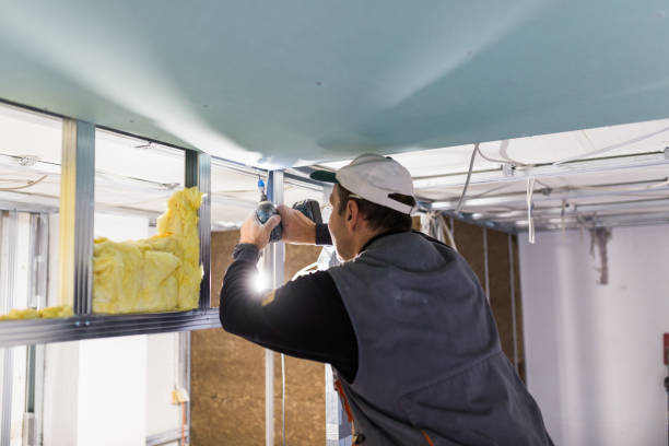 Best DIY Insulation Kits and Guidance in Chesilhurst, NJ