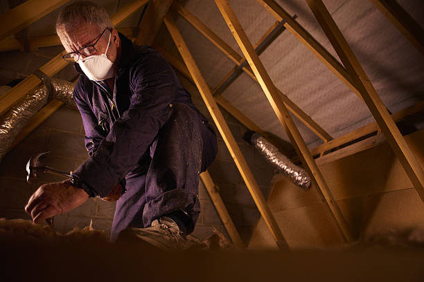 Best Cellulose Insulation in Chesilhurst, NJ